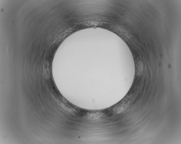 X0000069380414200606021612