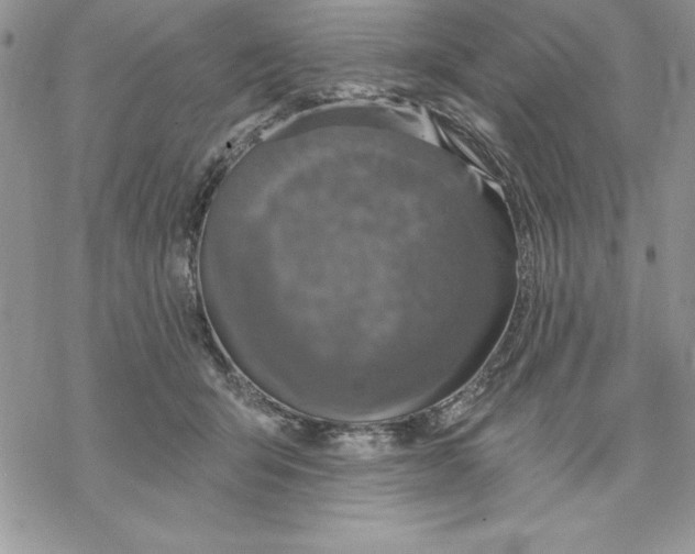 X0000069380415200606021612