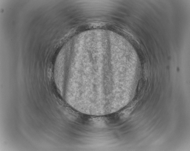 X0000069380417200606021612