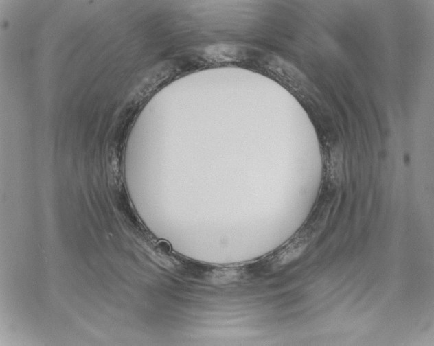 X0000069380418200606021612