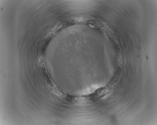 X0000069380419200606021611