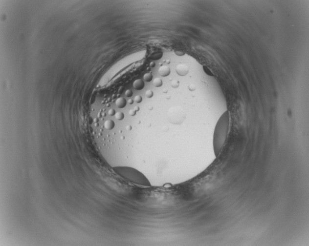 X0000069380420200606021611