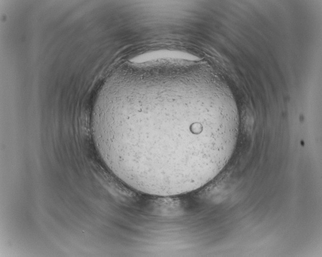 X0000069380421200606021611