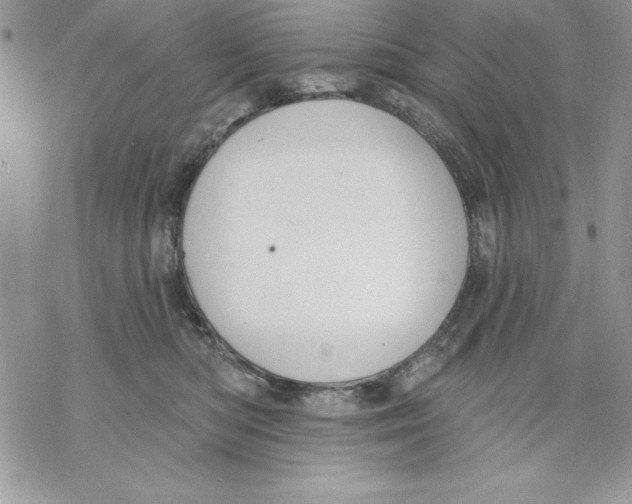 X0000069380422200606021611