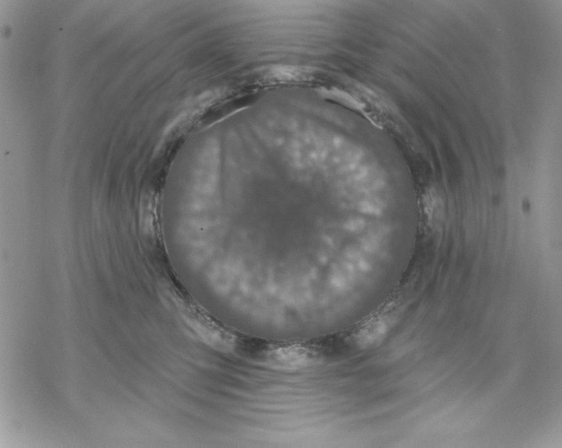 X0000069380423200606021611