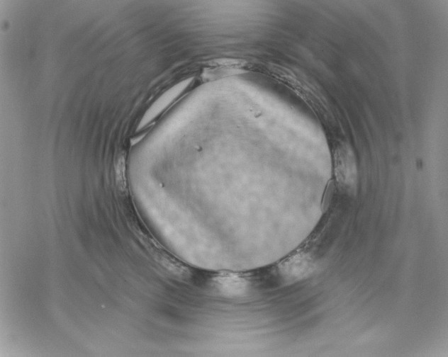 X0000069380425200606021611