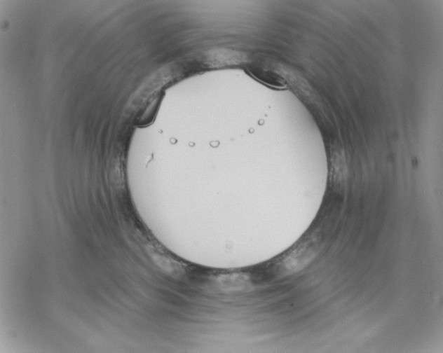 X0000069380426200606021611