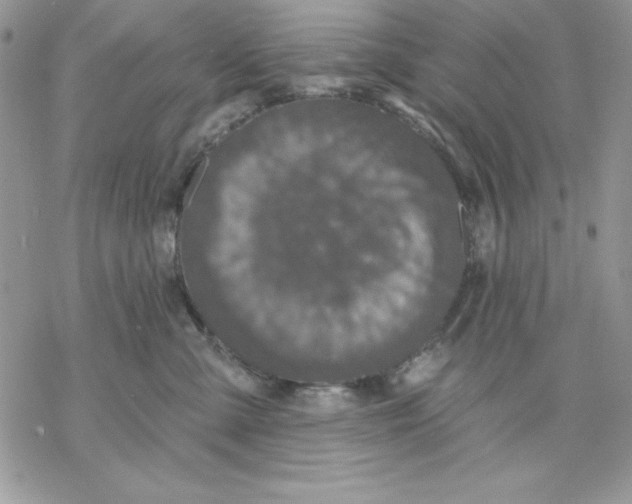 X0000069380427200606021611