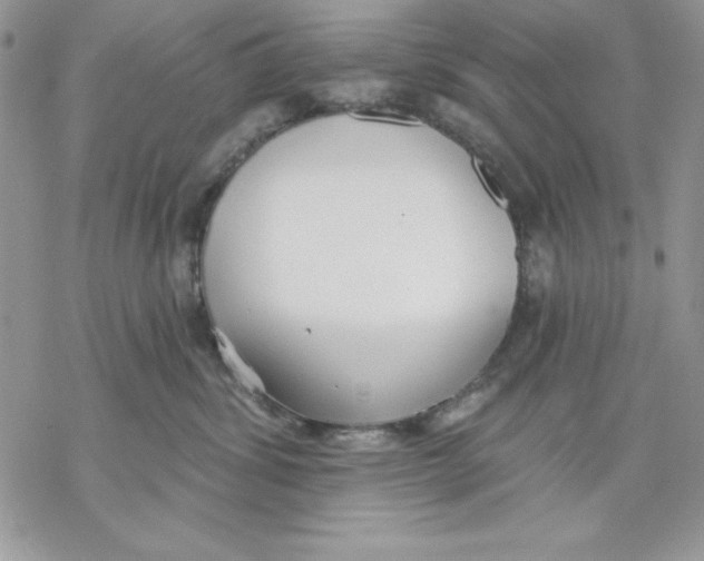 X0000069380428200606021611