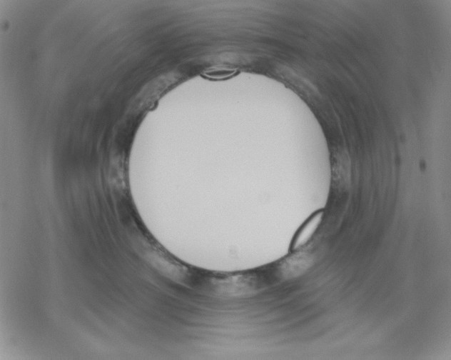 X0000069380430200606021611