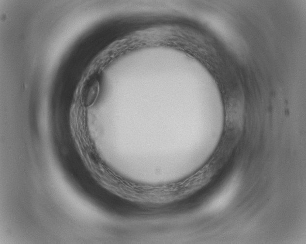 X0000069380431200606021611