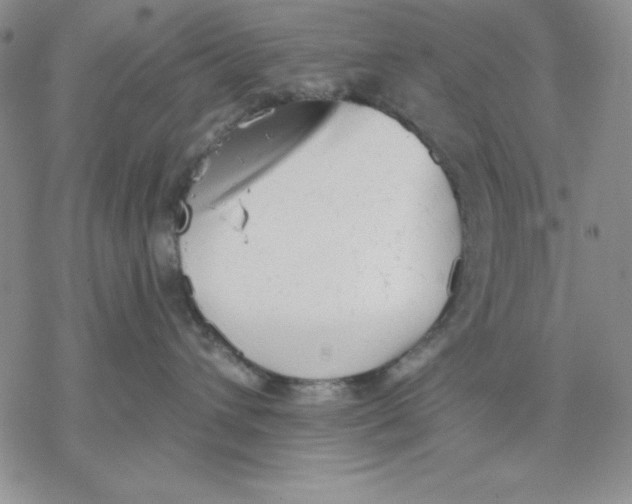 X0000069380432200606021611