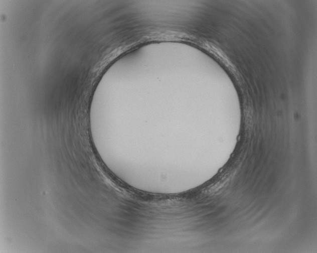 X0000069380433200606021611