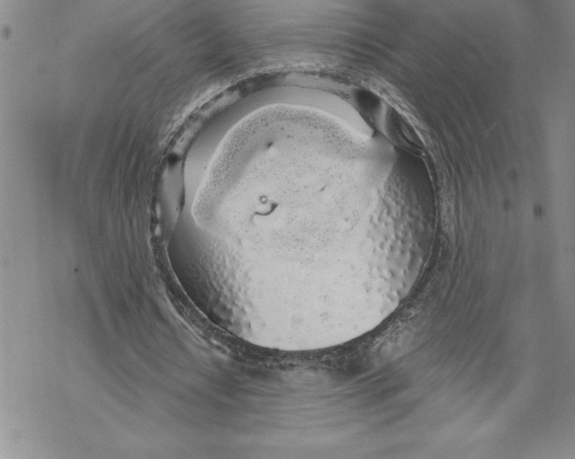 X0000069380434200606021611