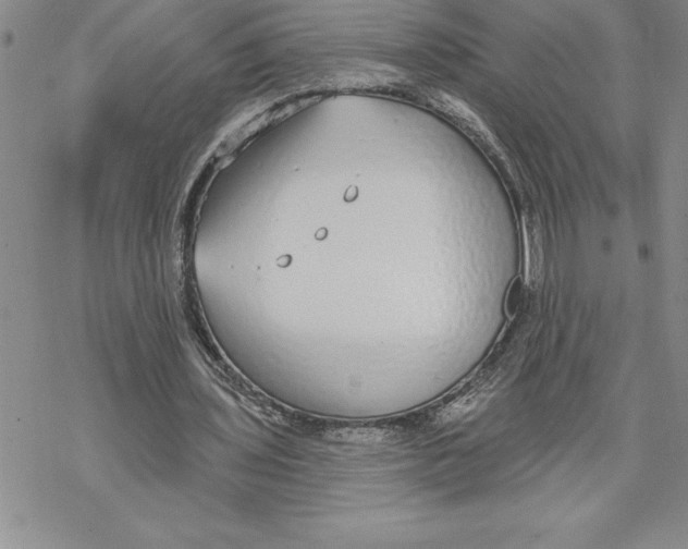 X0000069380435200606021611