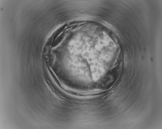 X0000069380436200606021611