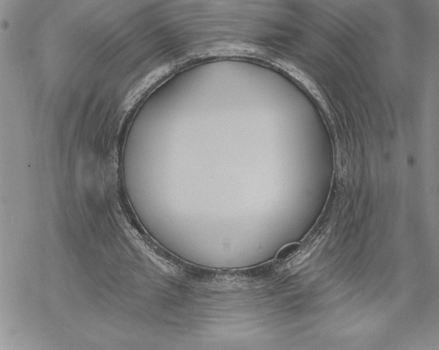 X0000069380437200606021611