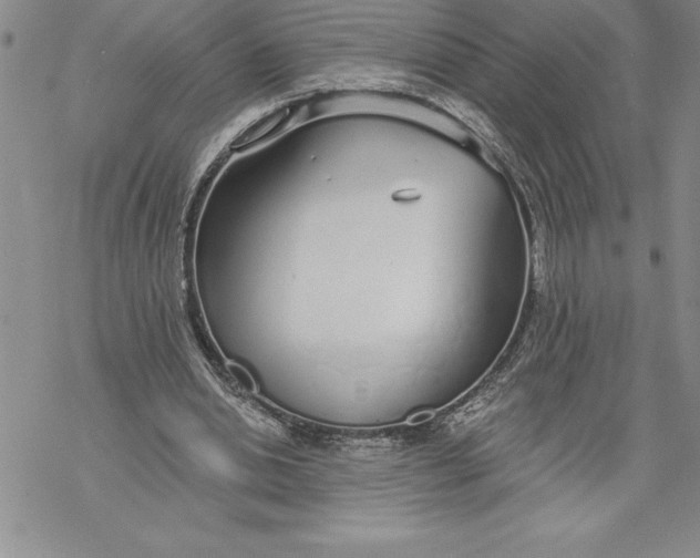 X0000069380438200606021611