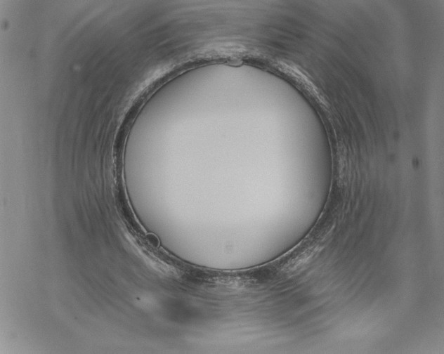 X0000069380439200606021611