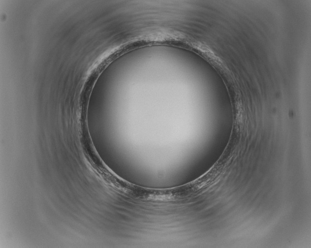 X0000069380440200606021611