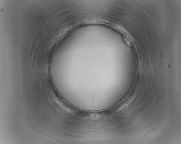 X0000069380441200606021611