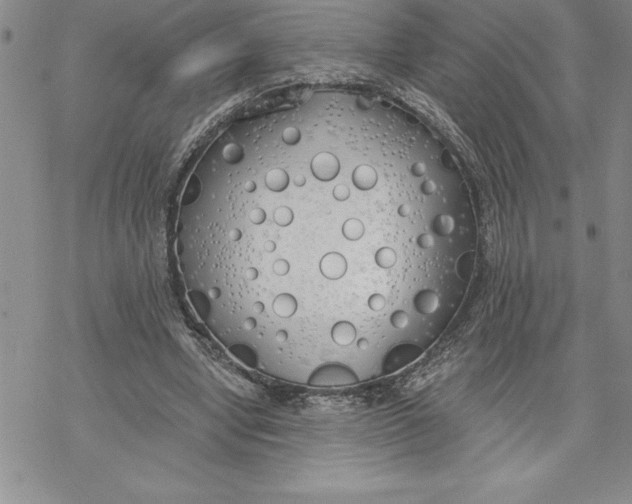 X0000069380442200606021611