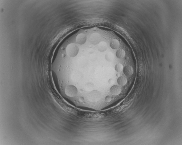 X0000069380443200606021611