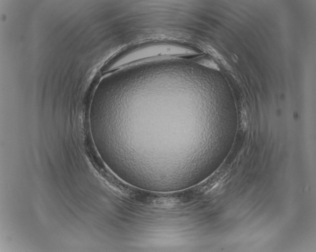 X0000069380444200606021611