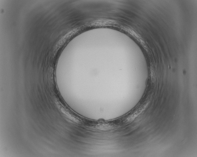 X0000069380445200606021611