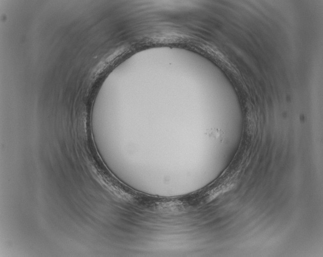 X0000069380446200606021611