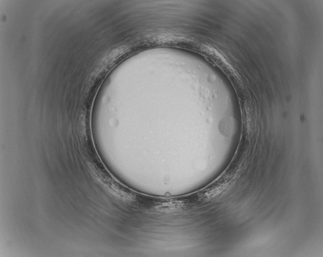 X0000069380447200606021611