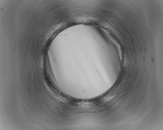 X0000069380448200606021611