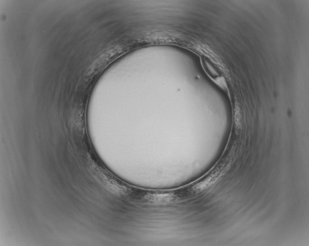 X0000069380449200606021611