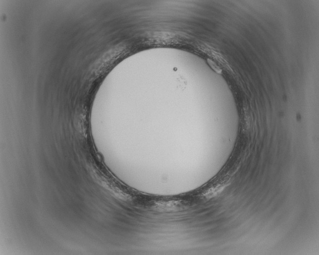 X0000069380450200606021611