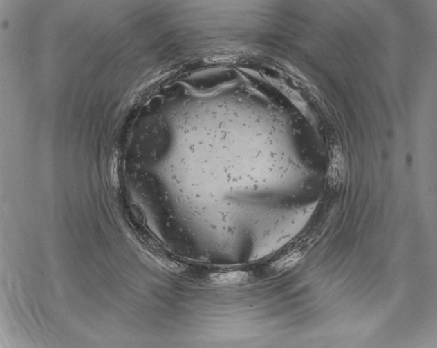 X0000069380452200606021611