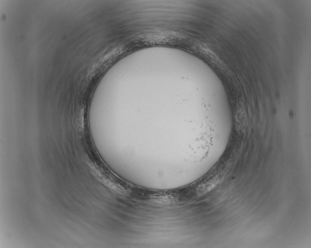 X0000069380454200606021611