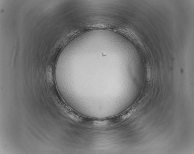 X0000069380457200606021611