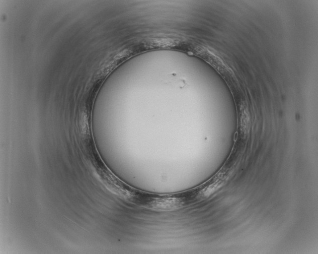 X0000069380459200606021611