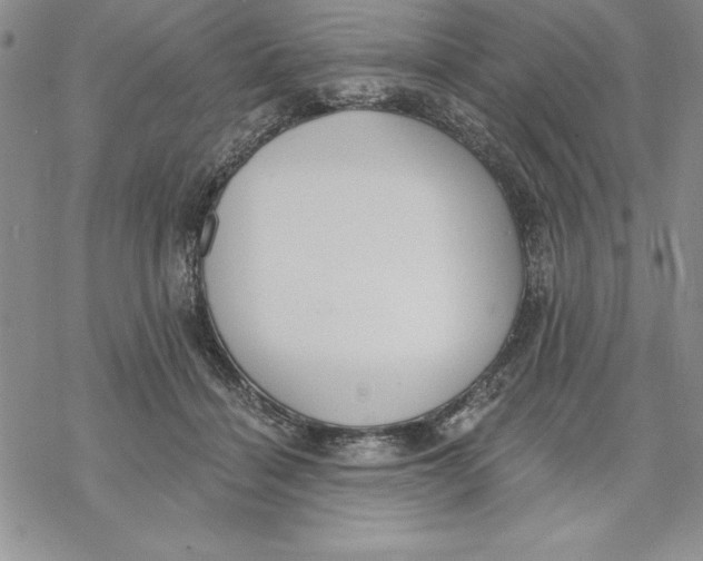 X0000069380460200606021611