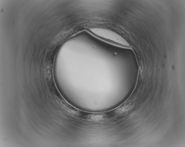 X0000069380462200606021611