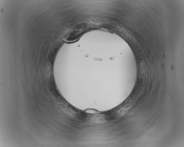 X0000069380463200606021611