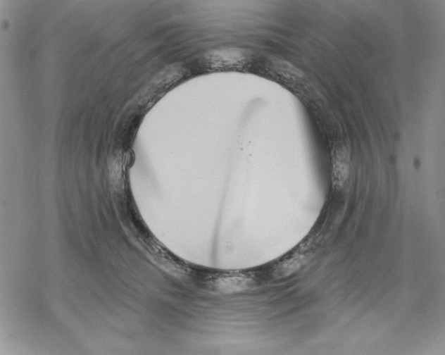 X0000069380468200606021611