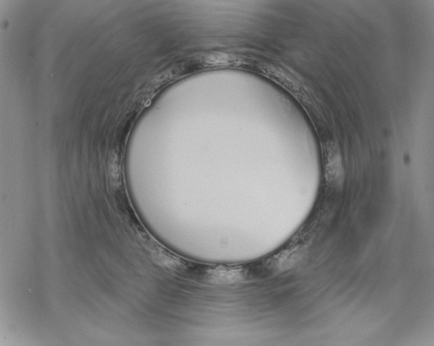 X0000069380469200606021611