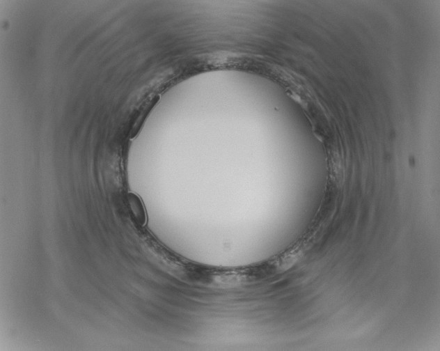 X0000069380470200606021611