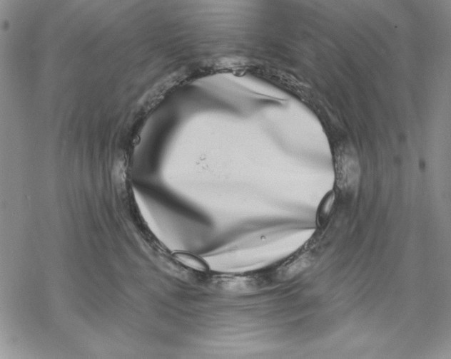 X0000069380472200606021611