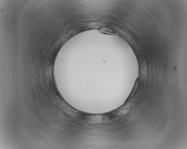 X0000069380473200606021611