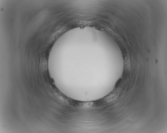 X0000069380474200606021611