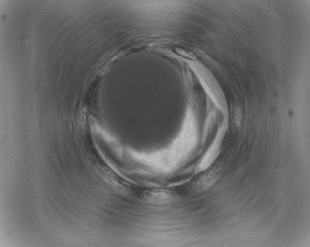 X0000069380475200606021611