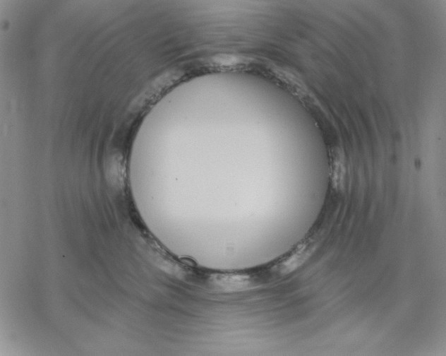 X0000069380476200606021611