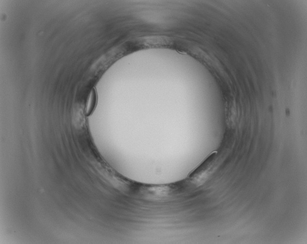 X0000069380478200606021611